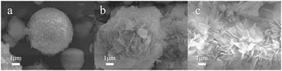 Effect of PEG on Performance of NiMnO Catalyst for Hydrogen Evolution Reaction